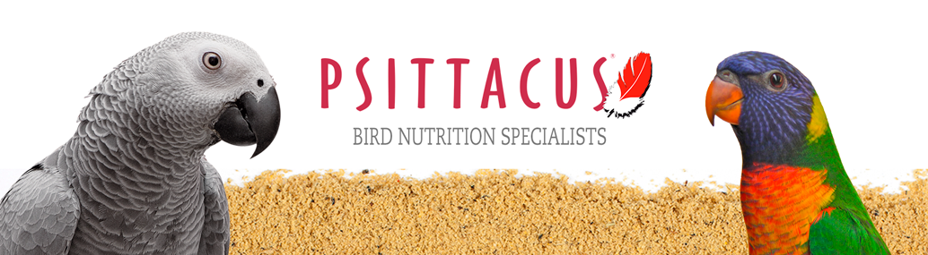 Psittacus 1724×475-EN